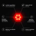 Noctilum – Image 2